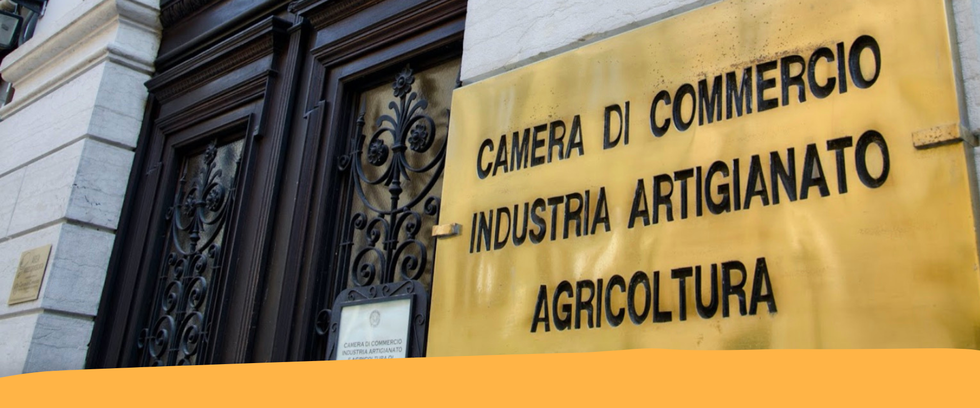 Camera Commercio bando ESG