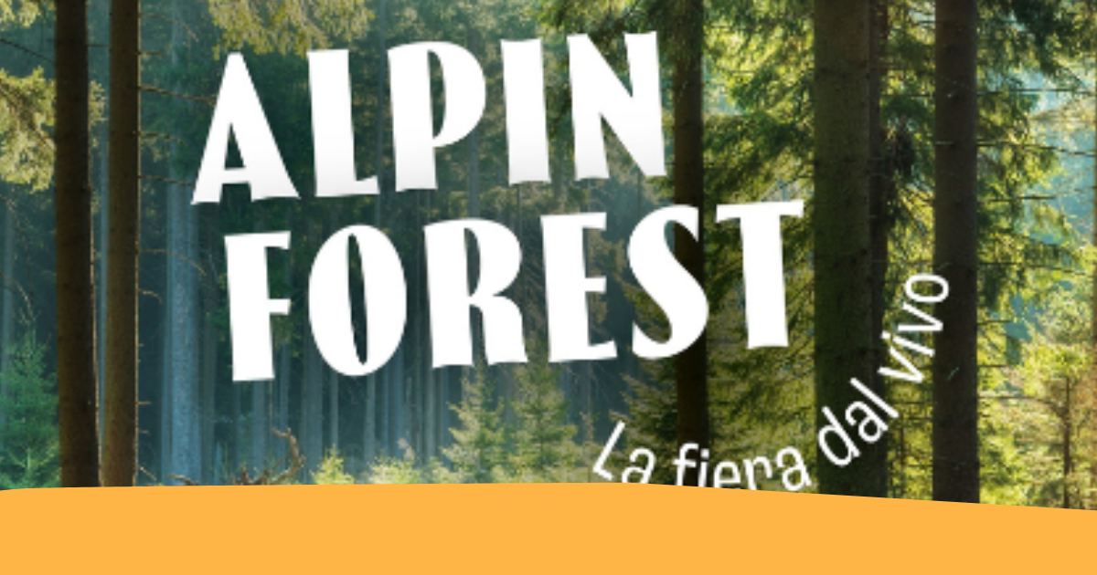 Alpin Forest Telve